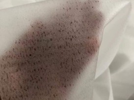 贊晨 EVA玻璃夾膠建筑鋼化夾膠玻璃薄膜厚0.45mm